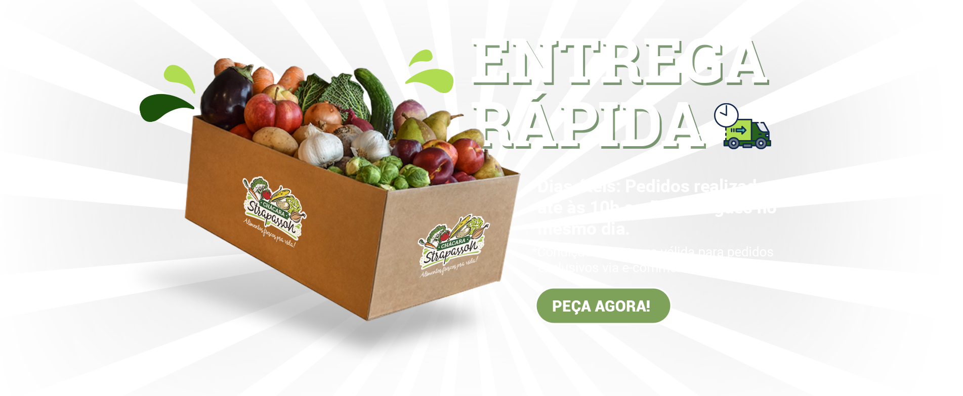 banner_site_entrega_rapida_2